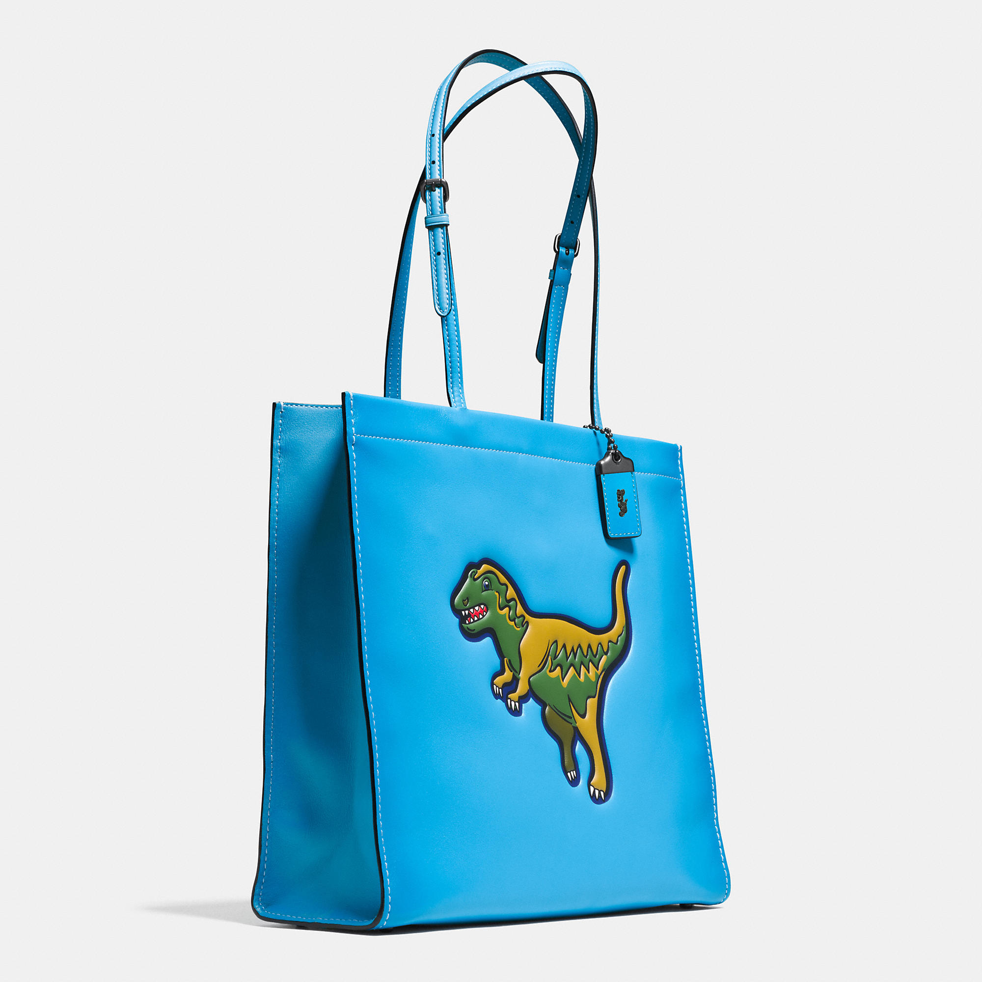 COACH Rexy Skinny Tote In Glovetanned Leather in Blue - Lyst